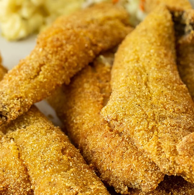 Fish 1 Piece.